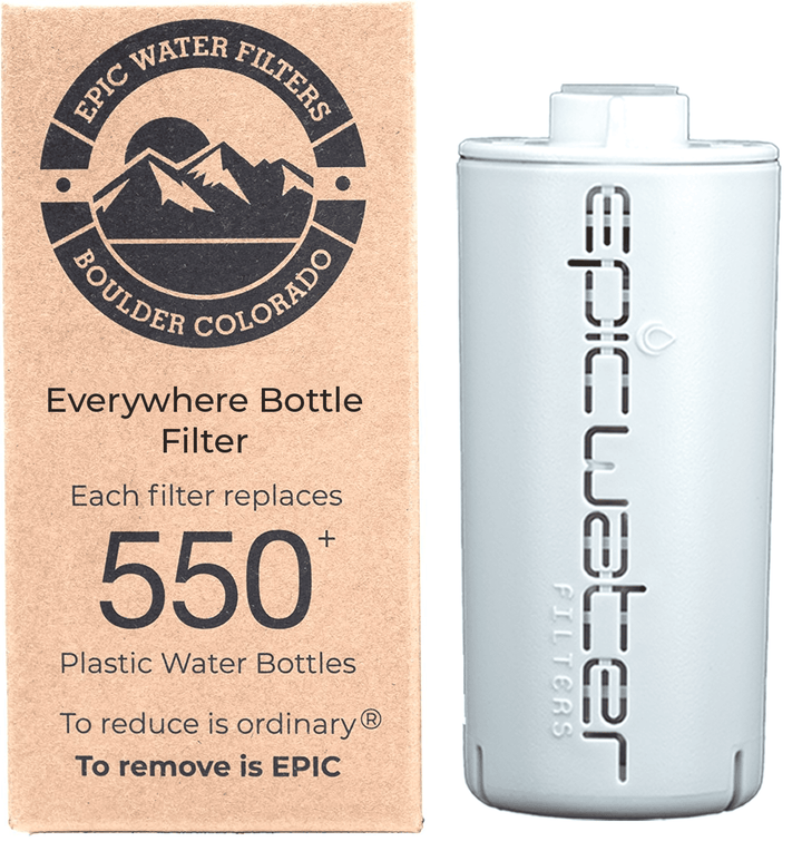 Epic Single Replacement Filter P8
